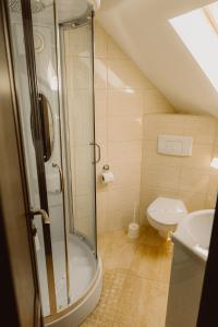a bathroom with a shower and a toilet at Vila Alsace Podu' cu Lanturi in Bacău