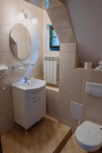 a bathroom with a sink and a toilet at Vila Alsace Podu' cu Lanturi in Bacău