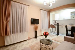 - un salon avec un canapé et une table dans l'établissement Apartman Savić, à Bajina Bašta