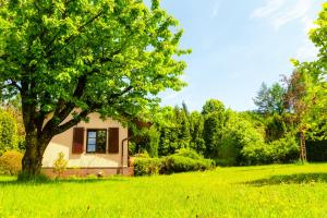 una casa en un campo con un árbol en Sielankowy domek w górach, en Bielsko-Biala