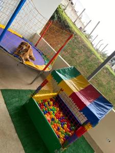 a dog is sitting in a pool of balls at CHÁCARA VENEZA in São Roque