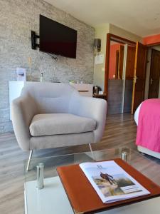 TV a/nebo společenská místnost v ubytování Hôtel Les Prateaux