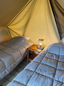 - deux lits dans une tente avec une table dans l'établissement Camping de la Forêt Seasonova, à Sillé-le-Guillaume