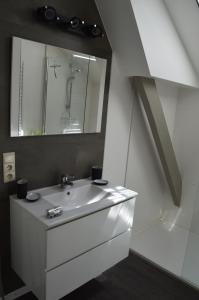 La salle de bains est pourvue d'un lavabo blanc et d'un miroir. dans l'établissement Le Moulin de Chatillon, à Saint-Léger