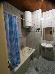 赫爾採格諾維的住宿－Apartments Danilo，浴室配有淋浴帘和盥洗盆。