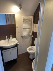 a bathroom with a sink and a toilet at Agroturystyka SzumyNowiny in Majdan Sopocki