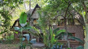 a brick house in the middle of a forest at Greenfire Hazyview Lodge in Hazyview