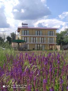 a large yellow building with a field of purple flowers at Гостинний дім "Алмаз" in Kurortne