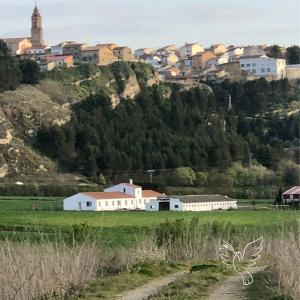 miasto na szczycie wzgórza z polem w obiekcie Entheos w mieście Lerín