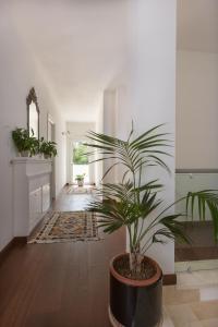Fotografie z fotogalerie ubytování B&B Terra del Sole v destinaci Valmontone
