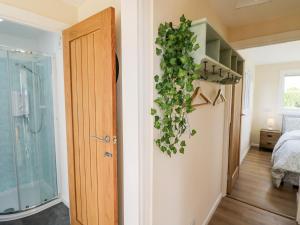 ein Zimmer mit einer Tür und einer grünen Pflanze an der Wand in der Unterkunft Malvern View Lodge in Worcester