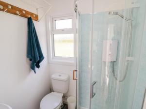 a bathroom with a toilet and a glass shower at Malvern View Lodge in Worcester