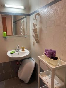 イリアにあるAngelos Studiosの洗面台とトイレ付きの小さなバスルーム +46枚の写真