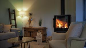 a living room with a fireplace and a couch and chairs at Chalet Tannegg in Reichenbach