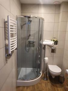 y baño con ducha de cristal y aseo. en Willa Maciejka, en Gdansk