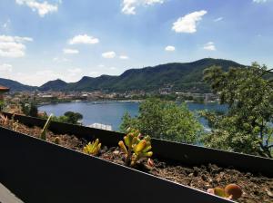 Táj az apartman közelében