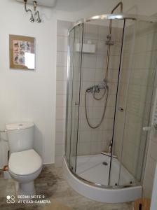 a bathroom with a shower and a toilet at Studio Leśne in Lubniewice
