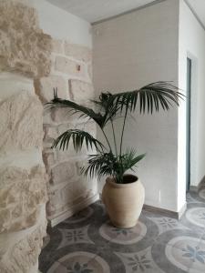 Gallery image of 7Palazzi in Lampedusa