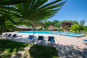 a pool with chairs and a palm tree at Sebastiano Resort in Lezhë