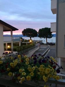 Φυσικό τοπίο κοντά σε αυτό το διαμέρισμα +33 φωτογραφίες