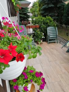 Galeriebild der Unterkunft Głębia in Dąbrówno