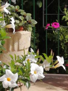 Galeriebild der Unterkunft Głębia in Dąbrówno