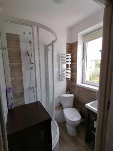 a bathroom with a toilet and a sink and a window at Głębia in Dąbrówno