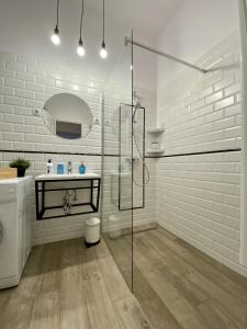 La salle de bains est pourvue d'une douche en verre et d'un lavabo. dans l'établissement Art Apartment Szeged, à Szeged