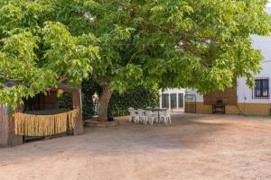 A garden outside La Pontezuela Alanis