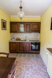 una cocina con armarios de madera y fregadero en Agriturismo Cornali, en Fabbriche di Vallico
