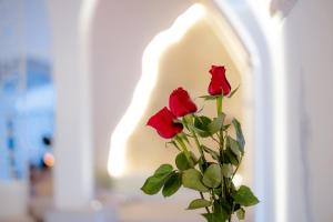 dos rosas rojas en un jarrón junto a una pared en Antica Torre di Iuso, en Matera