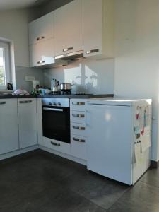 Köök või kööginurk majutusasutuses Apartman Dunatov