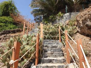 Cactus Guest House في Cidade Velha: مجموعة من السلالم الحجرية مع سور خشبي