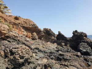 Fotografie z fotogalerie ubytování Cactus Guest House v destinaci Cidade Velha + 88 fotografií