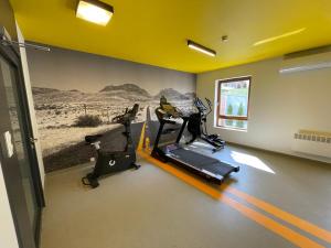 Posilňovňa alebo fitness centrum v ubytovaní Lawenda Krynicka