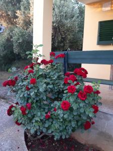 Galeriebild der Unterkunft Holiday home Maria with swimming pool in Vodice