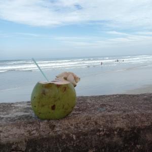 a coconut with a straw in it sitting on the beach at Ótimo apartamento condomínio frente a praia in Mongaguá