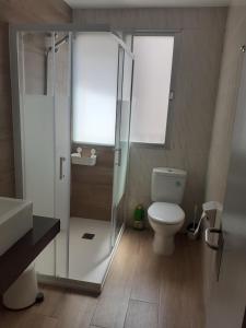 Un baño con inodoro y ducha de cristal. en VIVIENDA LA ESTRELLA, en Tudela
