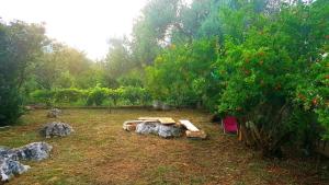 Zahrada ubytování Holiday Home 4542