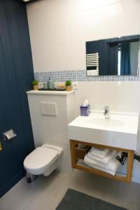 a bathroom with a sink and a toilet and a mirror at Arc en Sel Maison d’hôtes in Arc-et-Senans