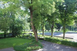 a tree in the middle of a park at Galeona in Elblag