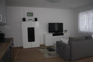 TV a/nebo společenská místnost v ubytování Moderne Gartenwohnung nähe LKH Univ Klinikum Graz