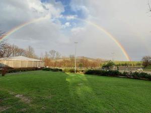 Gallery image of Ośrodek Jeździecki Tarpan latający Holender in Wysoczany +16 photos