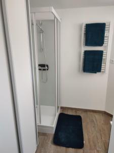 a bathroom with a shower and a blue rug at Charmante petite maison cosy style industriel in Longuenesse