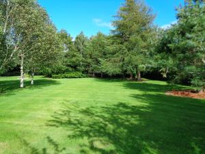 a large yard with trees and green grass at Redwood Apartment in Killarney +4 photos