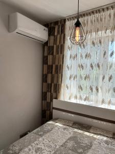 カリーニングラードにあるАппартаменты возле набережнойのベッドルーム1室(蝶のカーテン付きの窓付)