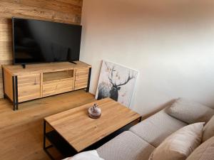 TV a/nebo společenská místnost v ubytování Penthouse Sonnenplatzl