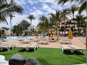 a resort swimming pool with chaise lounge chairs and palm trees at Seafront New Modern Apt in Playa de las Americas