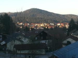 a city with houses and a mountain in the background at Hotel Waldhaus in Bodenmais