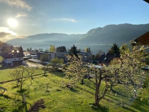 Príroda v okolí apartmánu